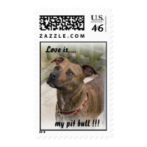 Love is.... my pit bull !!!.. postage by petruncio Love is.... my pit bull !!!.. postage
