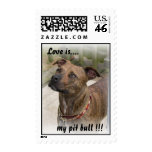 Love is.... my pit bull !!!.. stamps