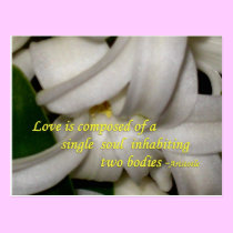 Love Is postcards