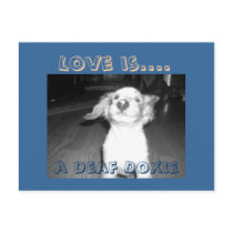 Love is.... postcards by DoubleDappleDoxie Love is.... postcards