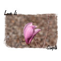 Love is Simple card