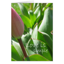 Love is Simple cards