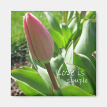 Love is Simple magnets