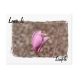 Love is Simple Postcards Love is Simple Postcards