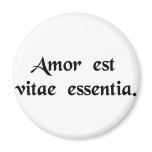 Love is the essence of life. fridge magnets