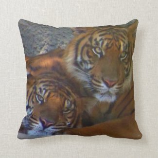 Love is_ throw pillow