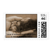 , Love is unconditional. Stamp