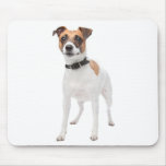 Love Jack Russell Terrier Puppy Dog Mousepad