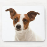 Love Jack Russell Terrier Puppy Dog Mousepad