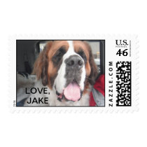 LOVE, JAKE STAMPS