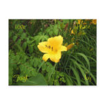 Love, Joy, Faith, Peace Postcard