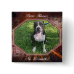 Love Knows No Bounds square button