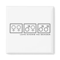 Love Knows No Gender Magnet