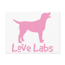 Love Labs (pink) Postcards