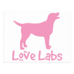 Love Labs (pink) Postcards