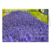 Love Lavendar cards by bigjohnxx Love Lavendar cards