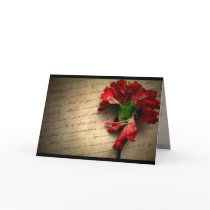 Love Letter cards
