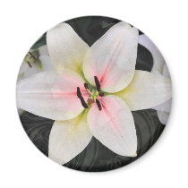 Love Lily magnets