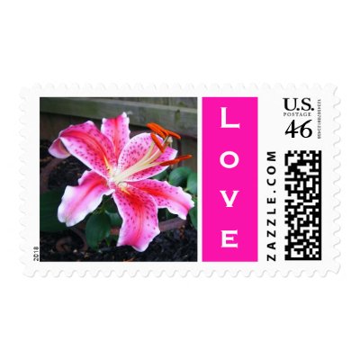 Love Lily Postage