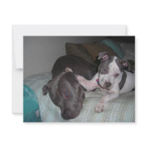 love, love, love invitations