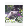 Love Me Love MY Cat Postcards