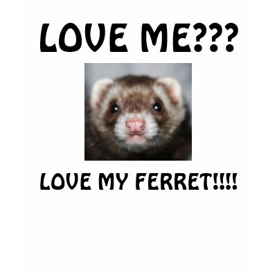 LOVE ME???, LOVE MY FERRET!!!! TSHIRTS by THEWHISPERER