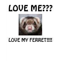 LOVE ME???, LOVE MY FERRET!!!! t-shirts by THEWHISPERER LOVE ME???, LOVE MY FERRET!!!! t-shirts