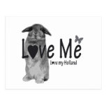 Love me, love my Holland postcard