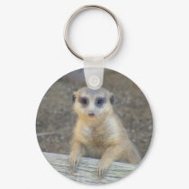 Love Me Meerkat keychains by minikittycat Love Me Meerkat keychains