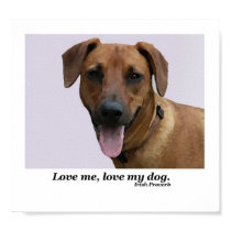 Love Me posters by bpmcwill Love Me posters