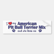 Love My American Pit Bull Terrier Mix (Female Dog) Bumper Stickers
