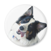 Love My Aussie magnets
