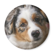Love my Aussie magnets by RIPetshopboy Love my Aussie magnets