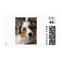 Love my Aussie Postage Stamps