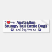 Love My Aust. Stumpy Tail Cattle Dogs (Multi Dogs) Bumper Sticker