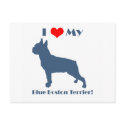 Love My Blue Boston Terrier postcards by katramsey Love My Blue Boston Terrier postcards