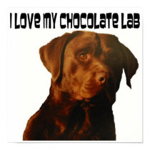 love my chocolate lab poster posters