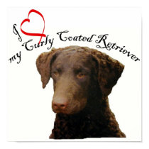 love my curly coated retriever poster posters