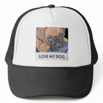 LOVE MY DOG SAMPLE hats