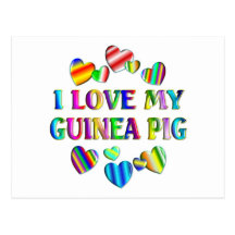 Love My Guinea Pig Post Card