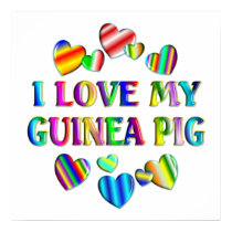 Love My Guinea Pig Poster posters