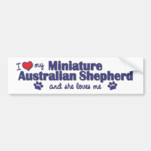 Love My Miniature Australian Shepherd (Female Dog) Bumper Stickers