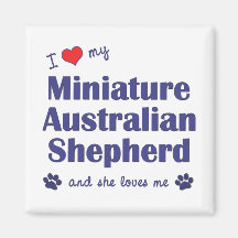 Love My Miniature Australian Shepherd (Female Dog) Fridge Magnet