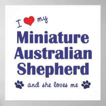 Love My Miniature Australian Shepherd (Female Dog) Poster