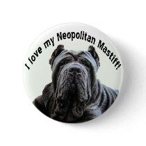 love my Neopolitan Mastiff button