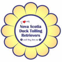 Love My Nova Scotia Duck Tolling Retrievers (They) Acrylic Cut Outs