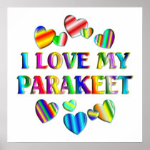 Love My Parakeet Poster