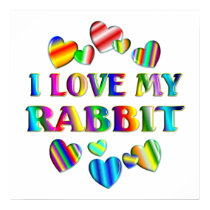 Love My Rabbit Poster posters