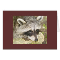 Love nature cards