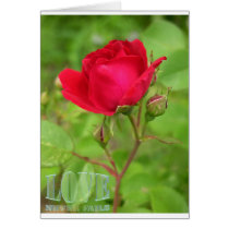 Love Never Fails cards